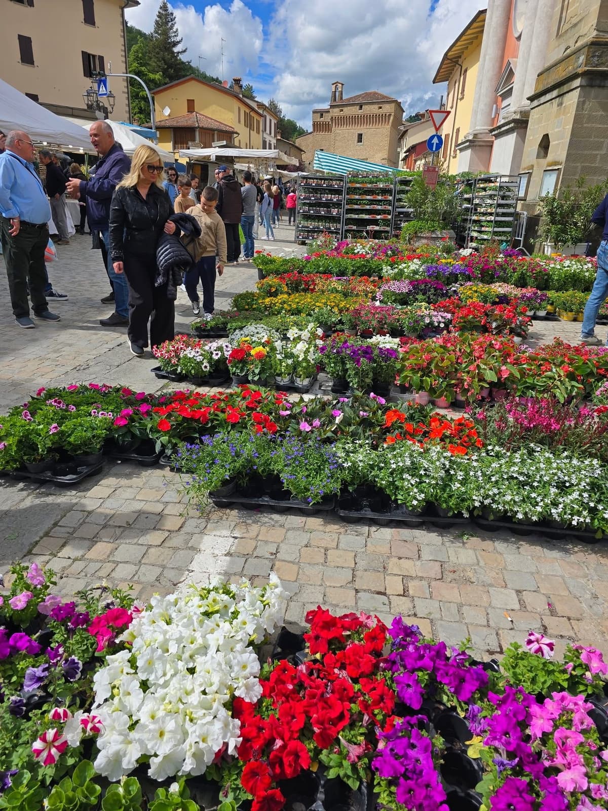 Petunie colorate al mercato dei fiori